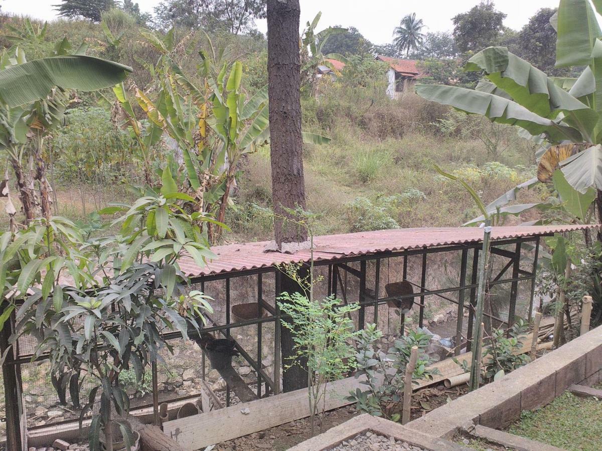 Nabila Syar'I Guest House Padalarang Dış mekan fotoğraf